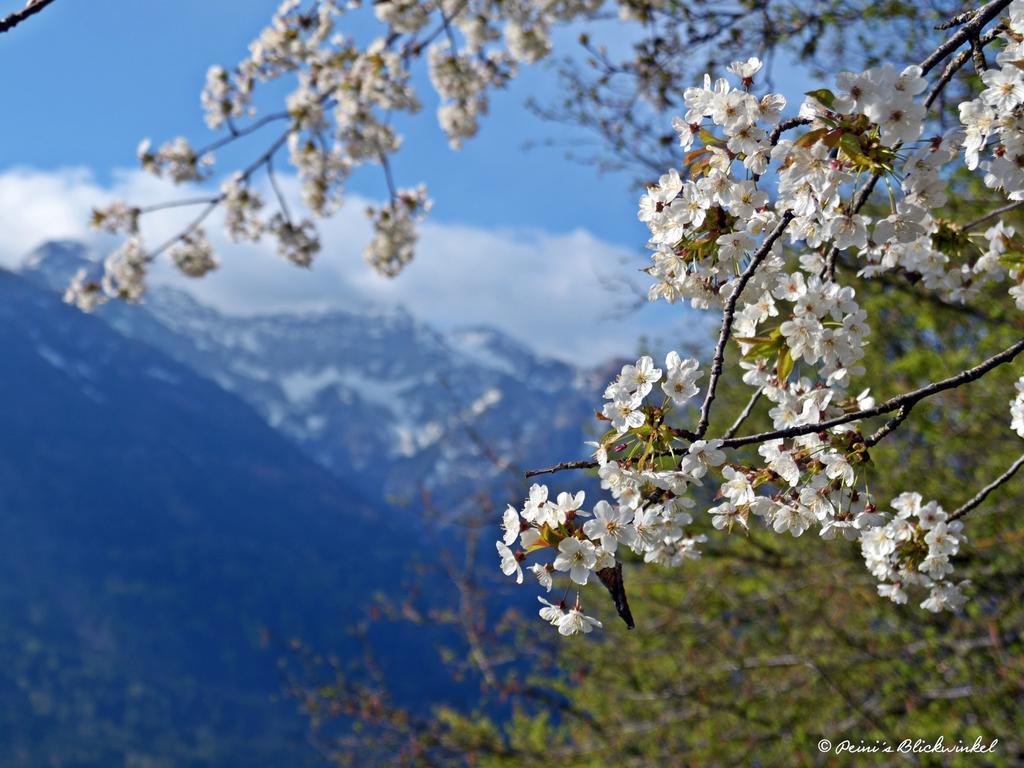 Haus Obermoser Apartment Dellach im Drautal ภายนอก รูปภาพ