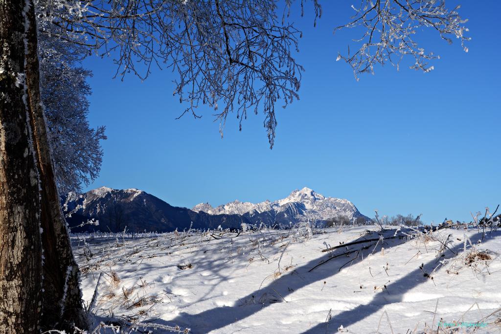 Haus Obermoser Apartment Dellach im Drautal ภายนอก รูปภาพ